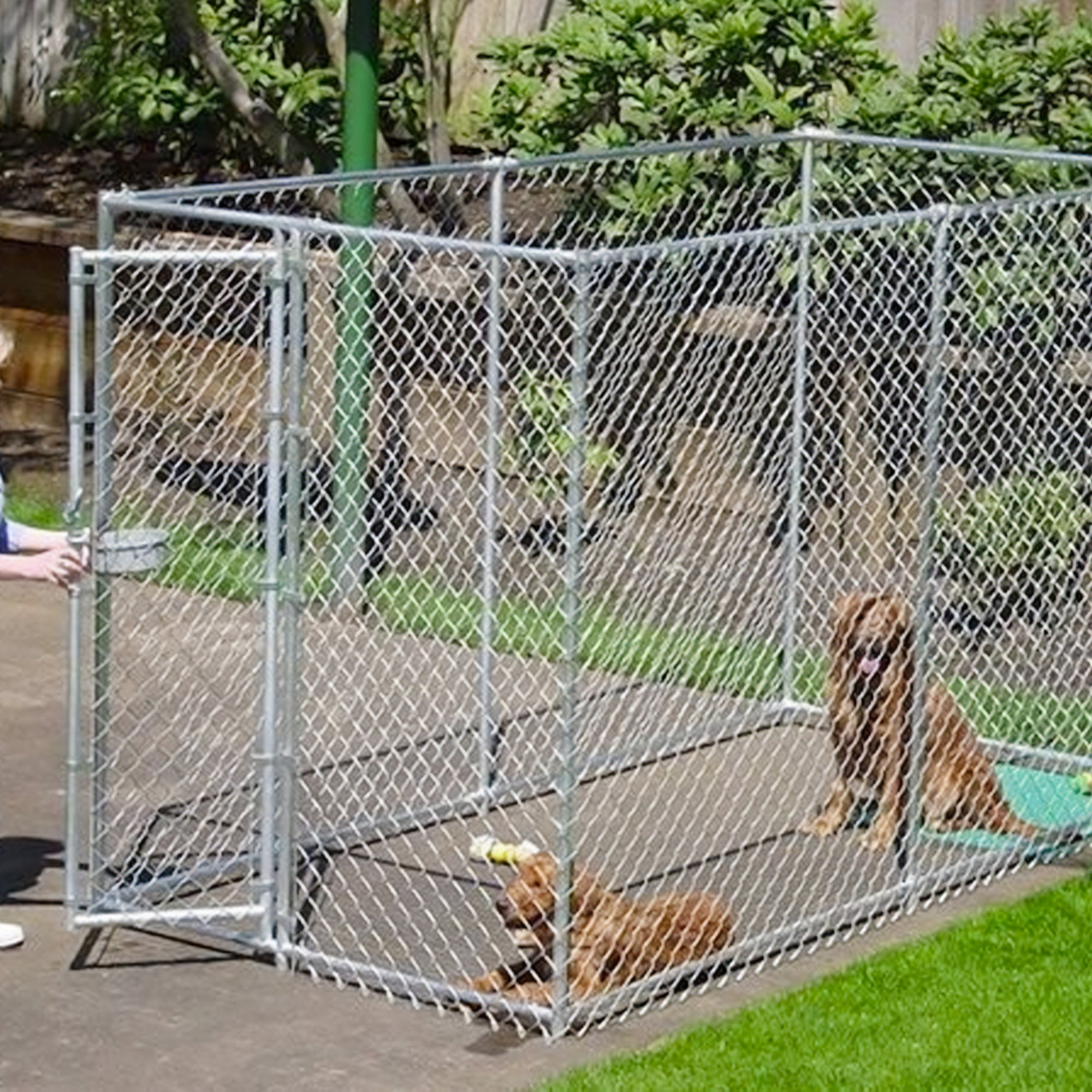 Lucky Dog Adjustable 10' x 5' x 6' Heavy Duty Chain Link Dog Kennel Enclosure - Smart-nests