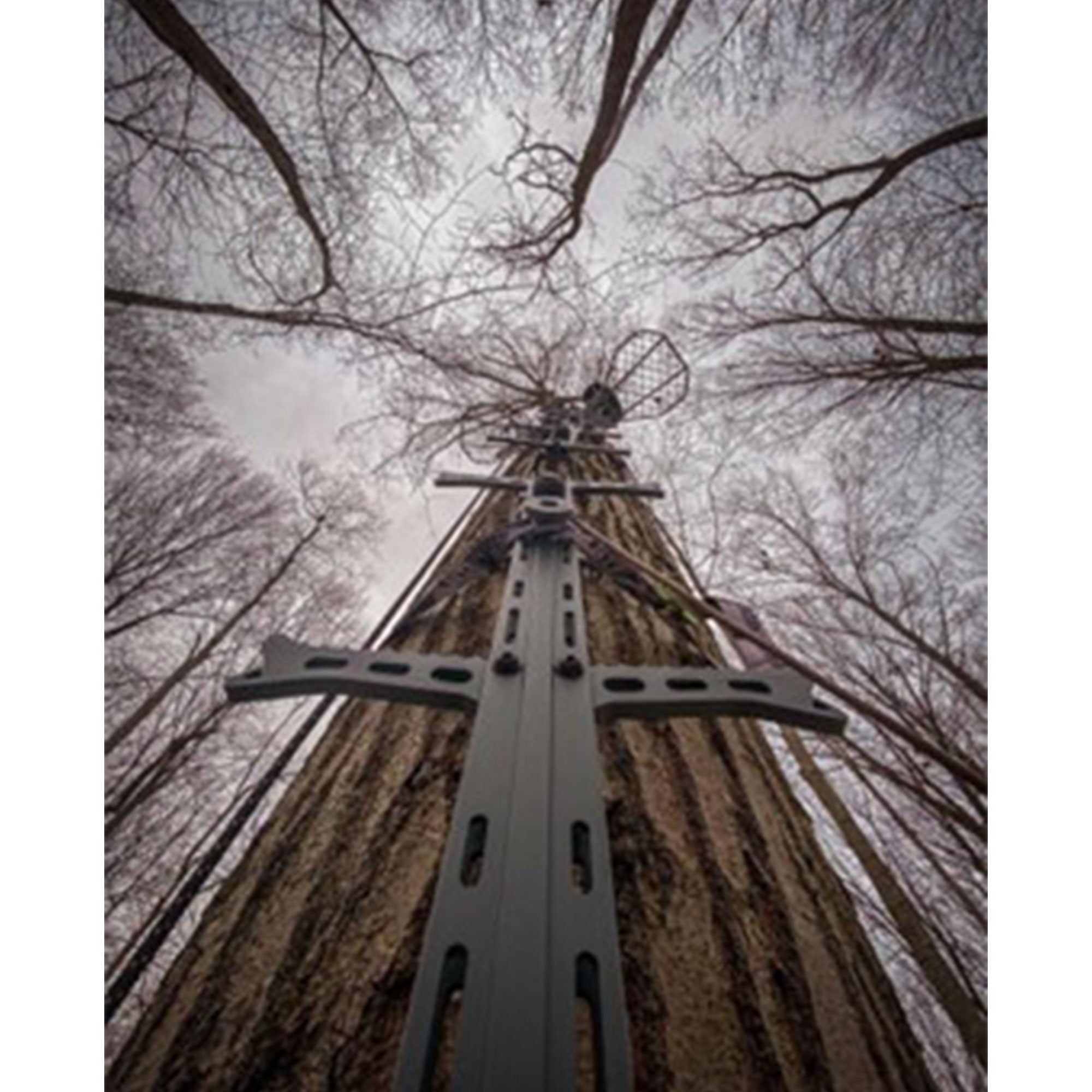 Hawk Ranger Traction 32" Climbing Sticks, Angled Step Tree Climbing Gear, 3-Pack - Smart-nests