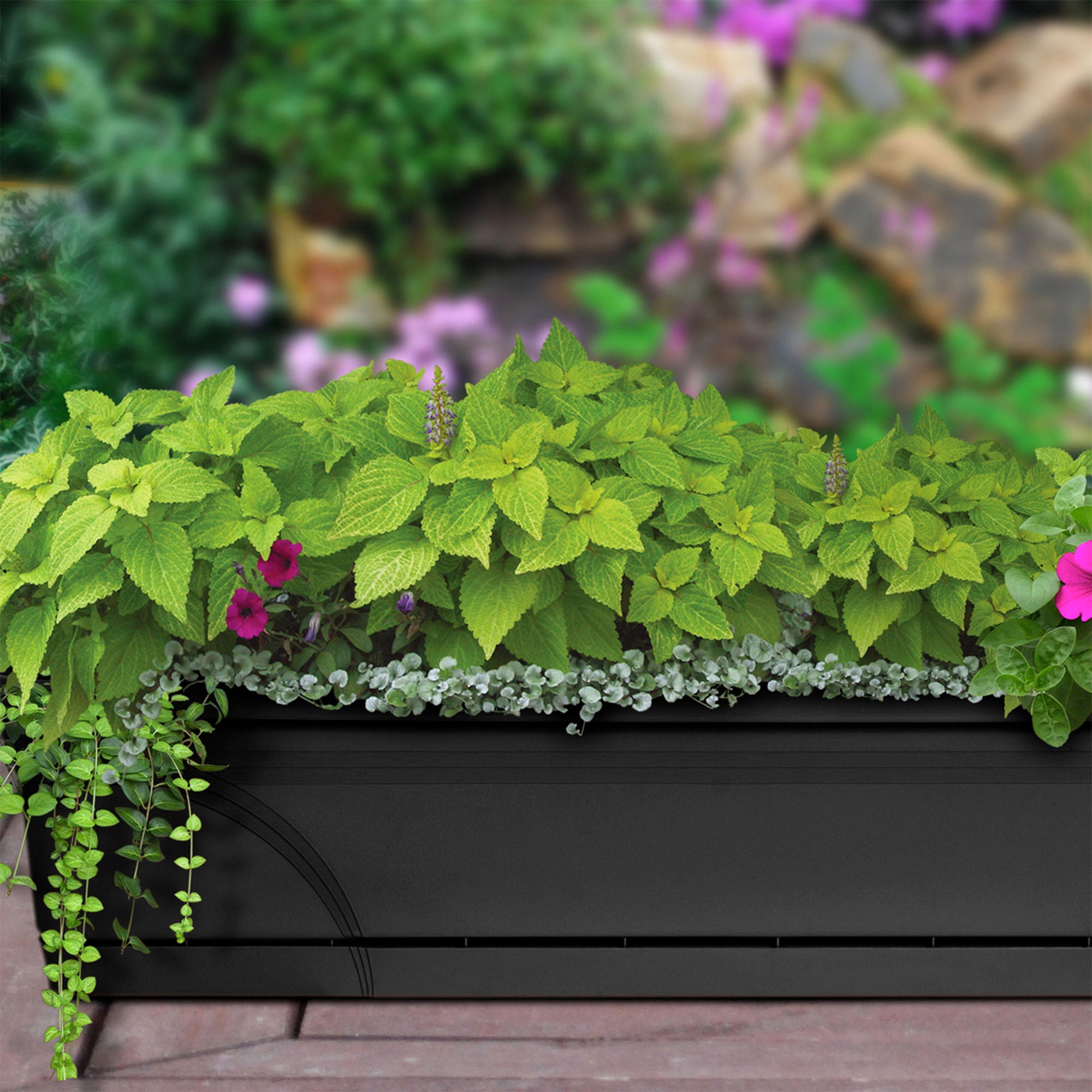 Southern Patio 36 Inch Medallion Hanging Windowsill Garden Box Planter, Black - Smart-nests