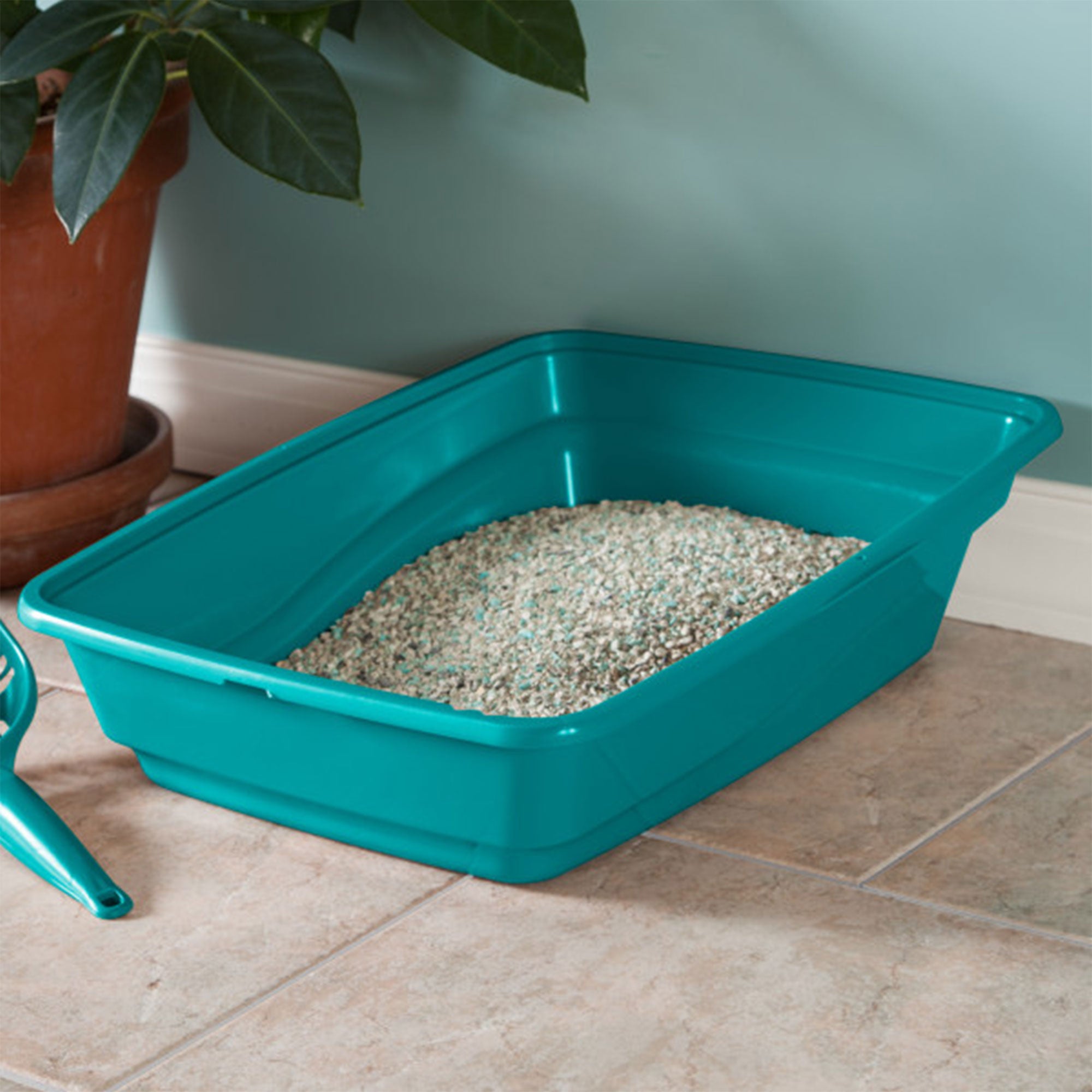 Sterilite 13033W06 Lg Frame Cat Litter Pan with Low Entrance, Sea Going (6 Pack) - Smart-nests