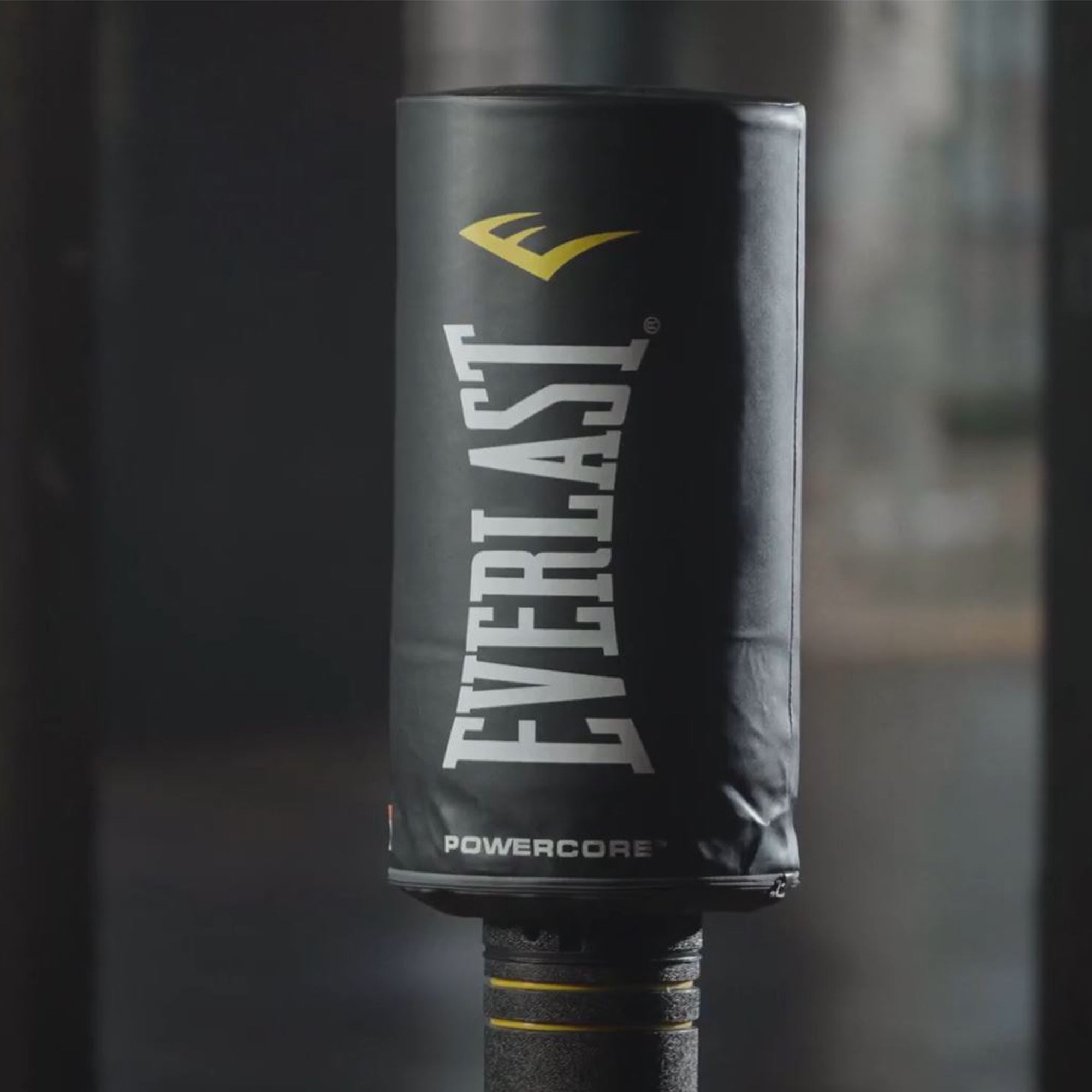 Everlast Powercore Freestanding Indoor Rounded Heavy Duty Fitness Training Bag - Smart-nests