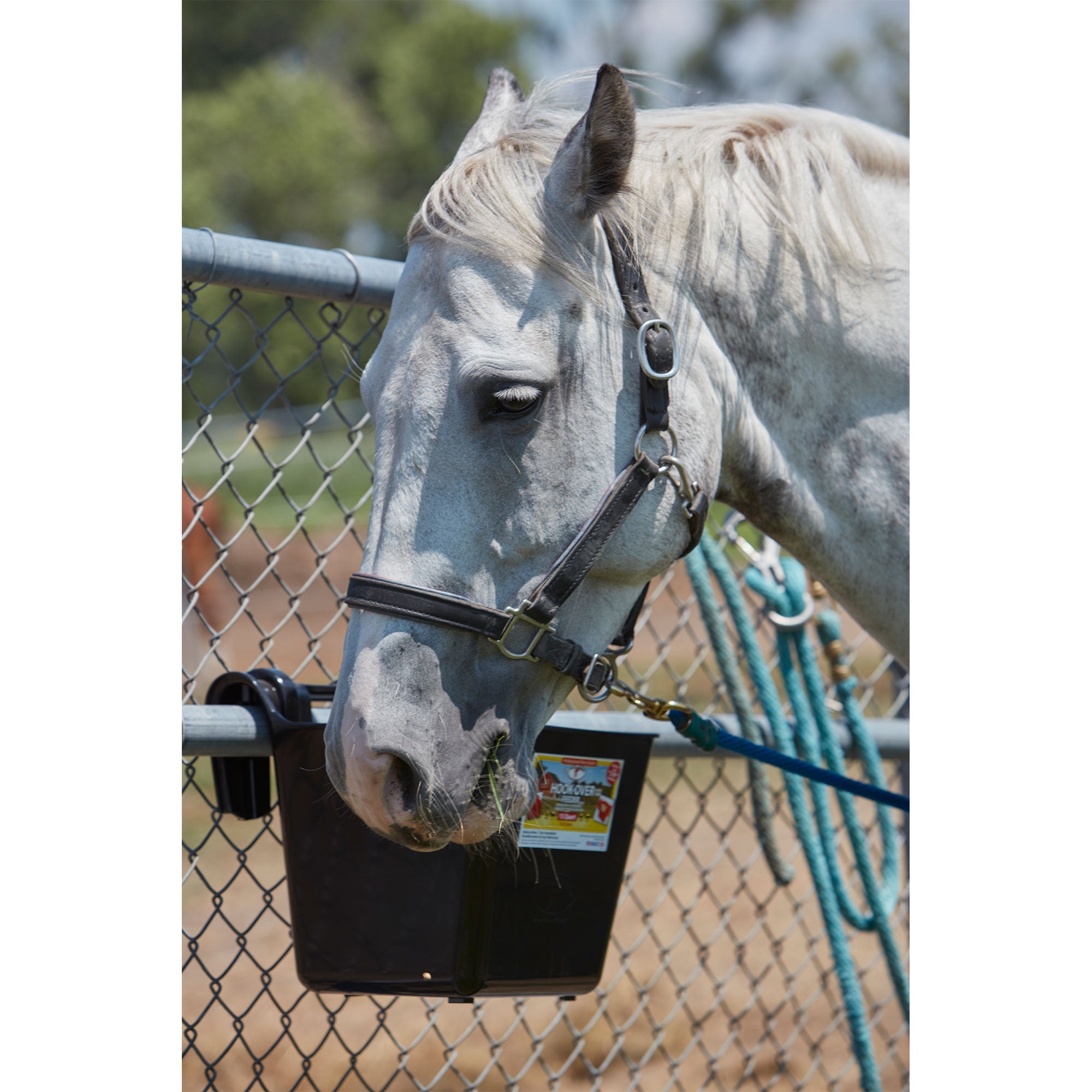 Little Giant HF15BLACK Heavy Duty 15 Quart Mountable Plastic Hook Feeder, Black - Smart-nests