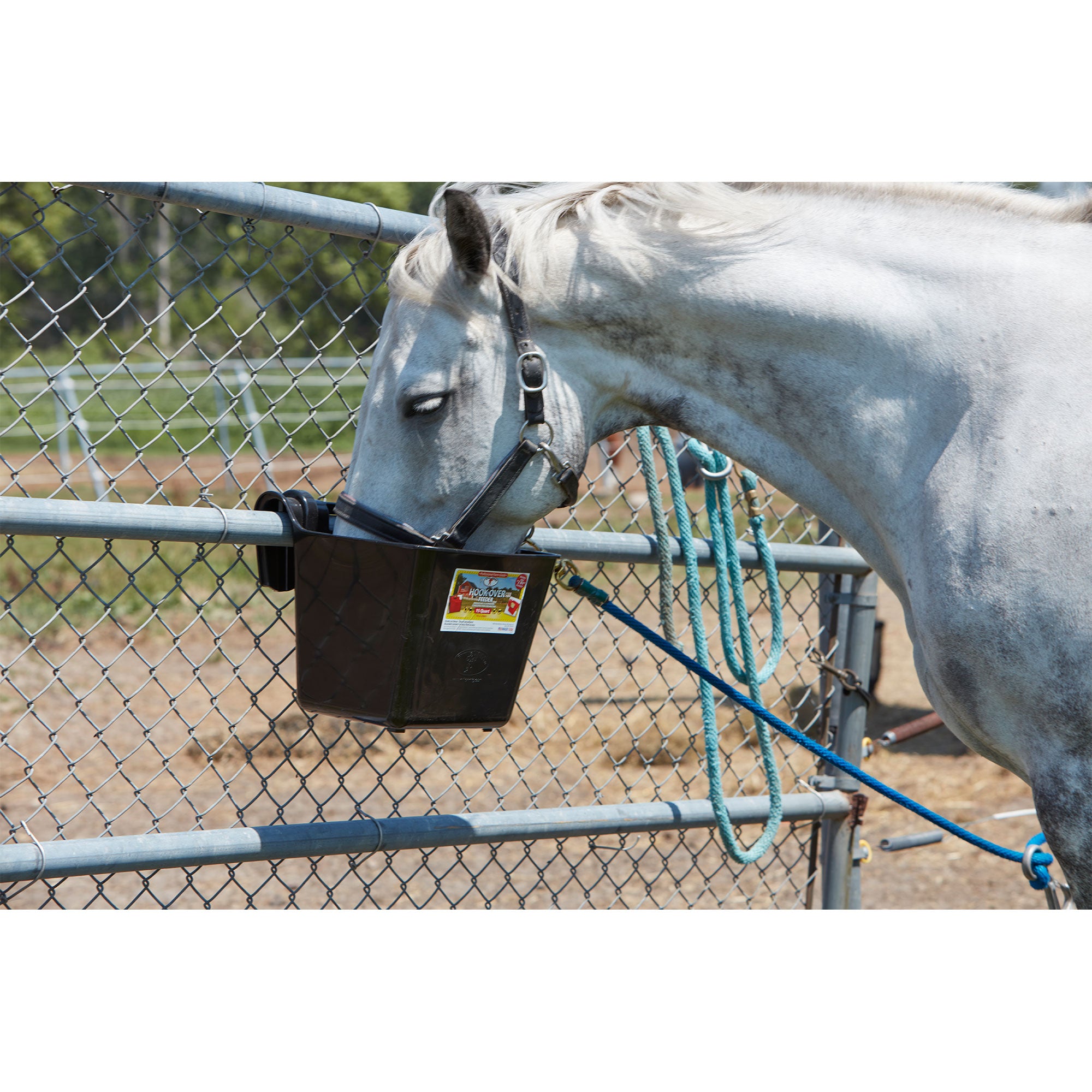 Little Giant HF15BLACK Heavy Duty 15 Quart Mountable Plastic Hook Feeder, Black - Smart-nests