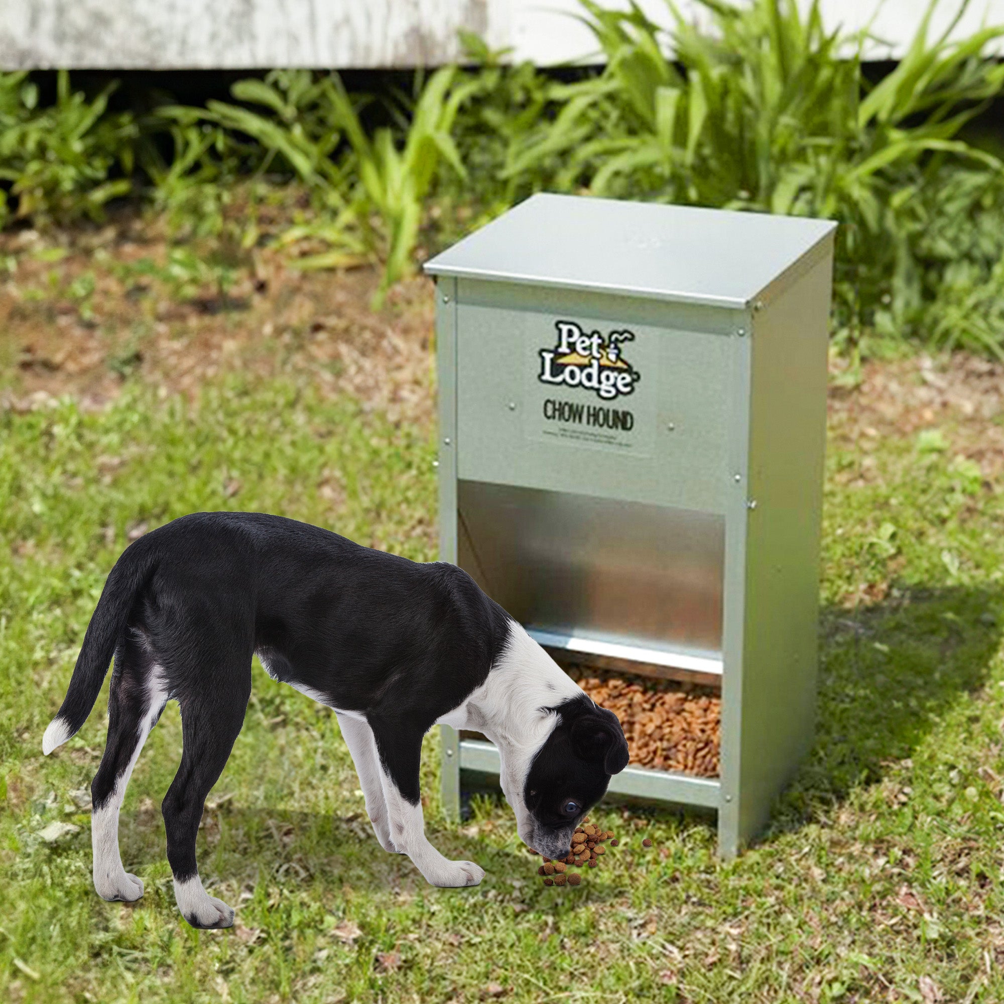 Pet Lodge Dry Food Automatic Steel Dog Feeder Chow Hound w/ 50 Pound Capacity - Smart-nests