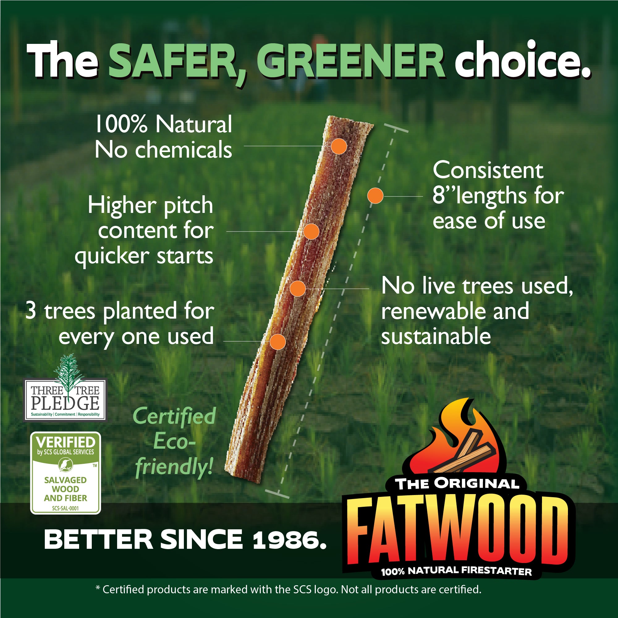 Better Wood Products Protect the Park Fatwood Firestarter Sticks, Smoky Mountain - Smart-nests
