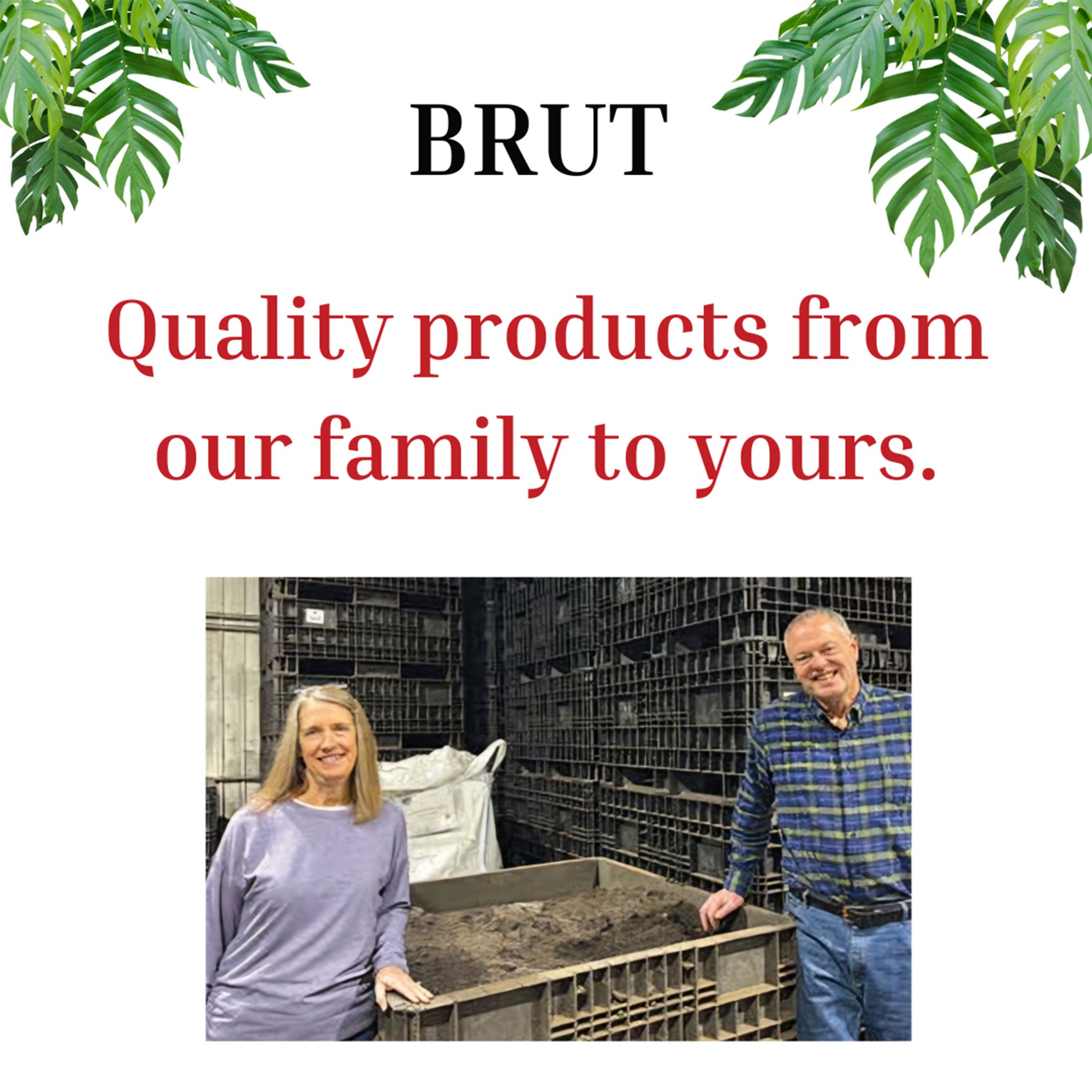 Brut Organic Potting Soil, 1 CF,  Indoor and Outdoor Container Plants - Smart-nests