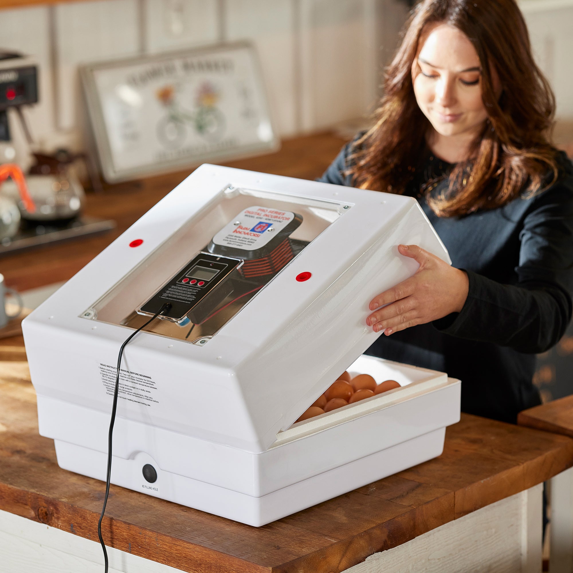 Farm Innovators 4250 Digital Circulated Air Incubator, w/Auto Egg Turner, White - Smart-nests