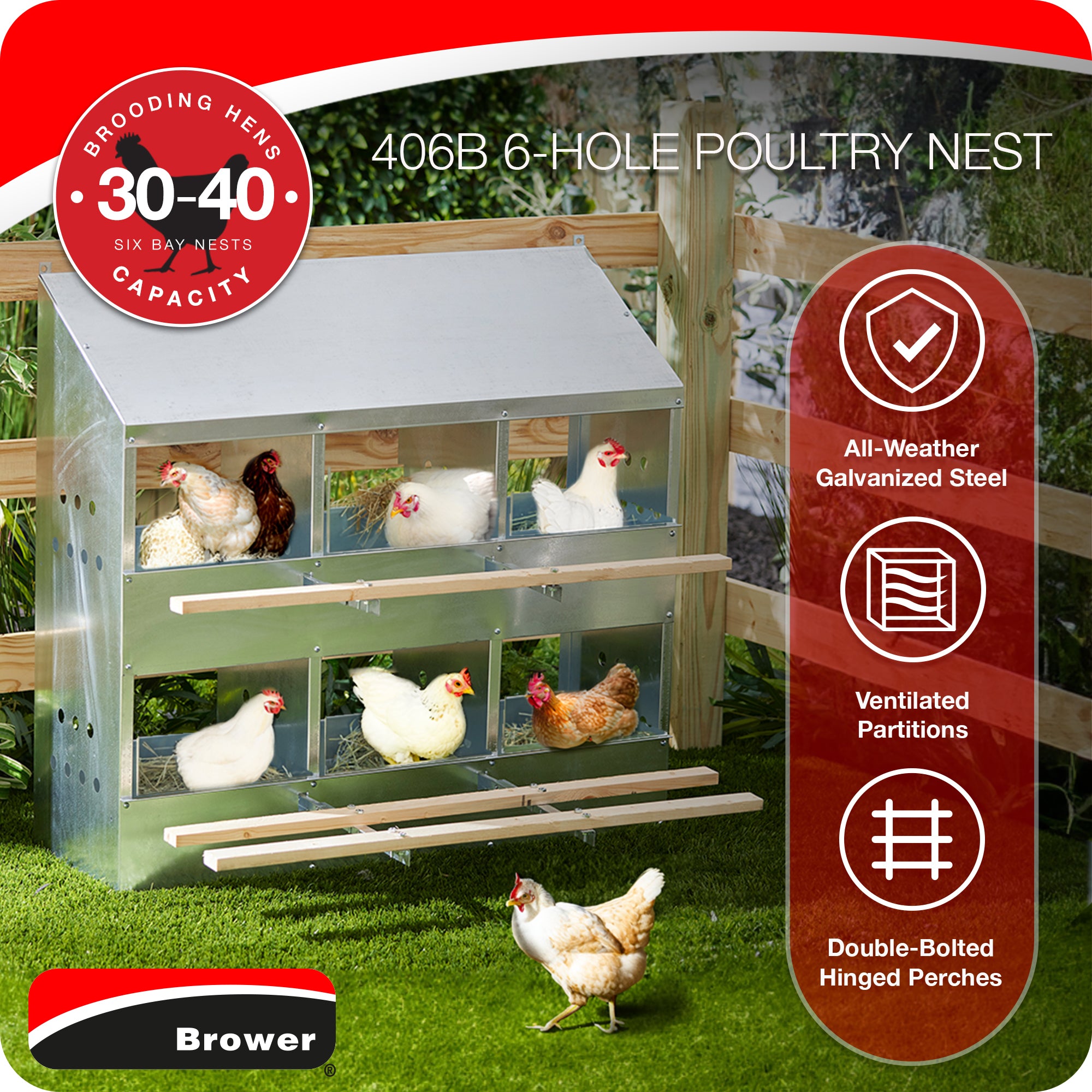 Brower 406B Galvanized Steel 6 Hole 30 Bird Poultry Nest Chicken Brooding Box - Smart-nests