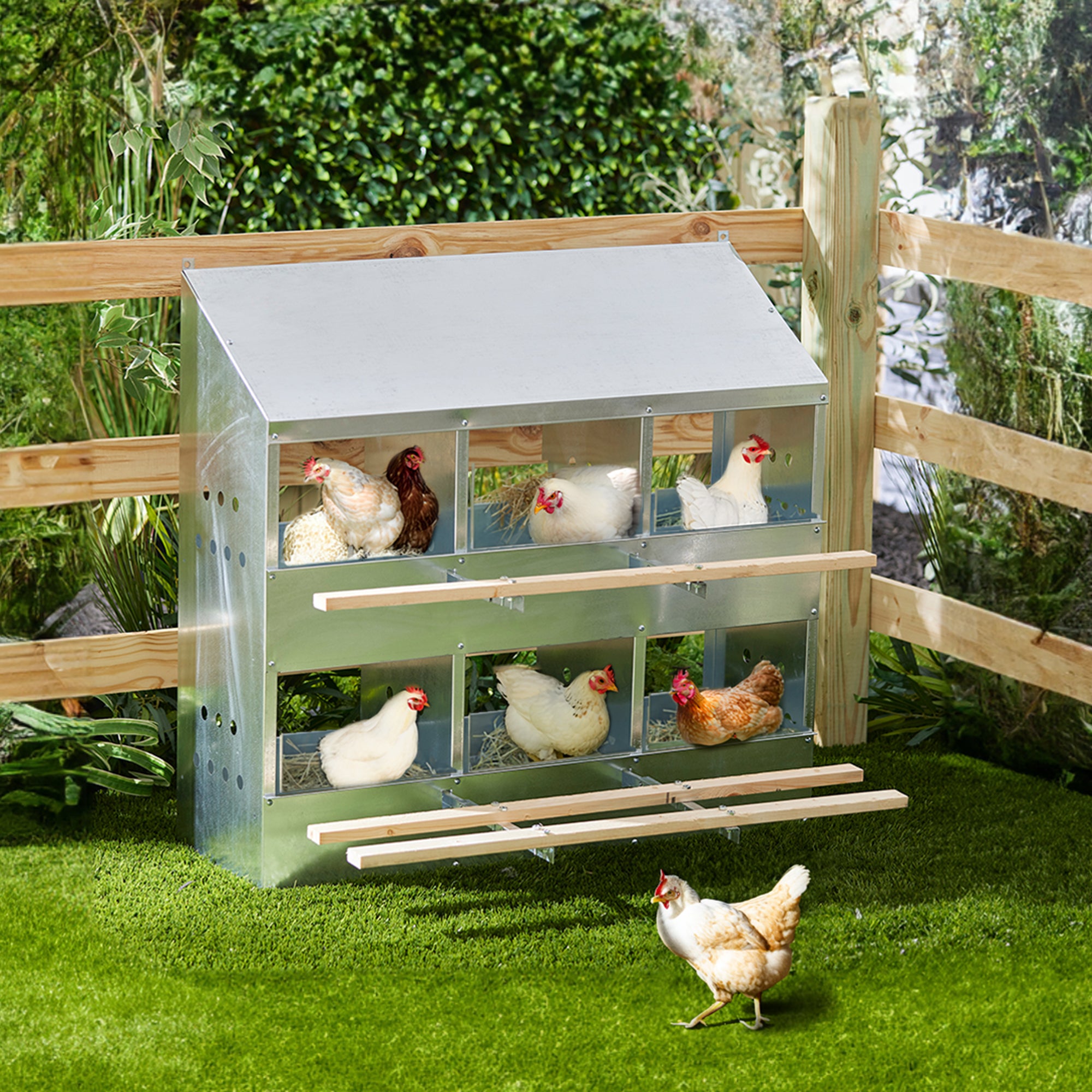 Brower 406B Galvanized Steel 6 Hole 30 Bird Poultry Nest Chicken Brooding Box - Smart-nests