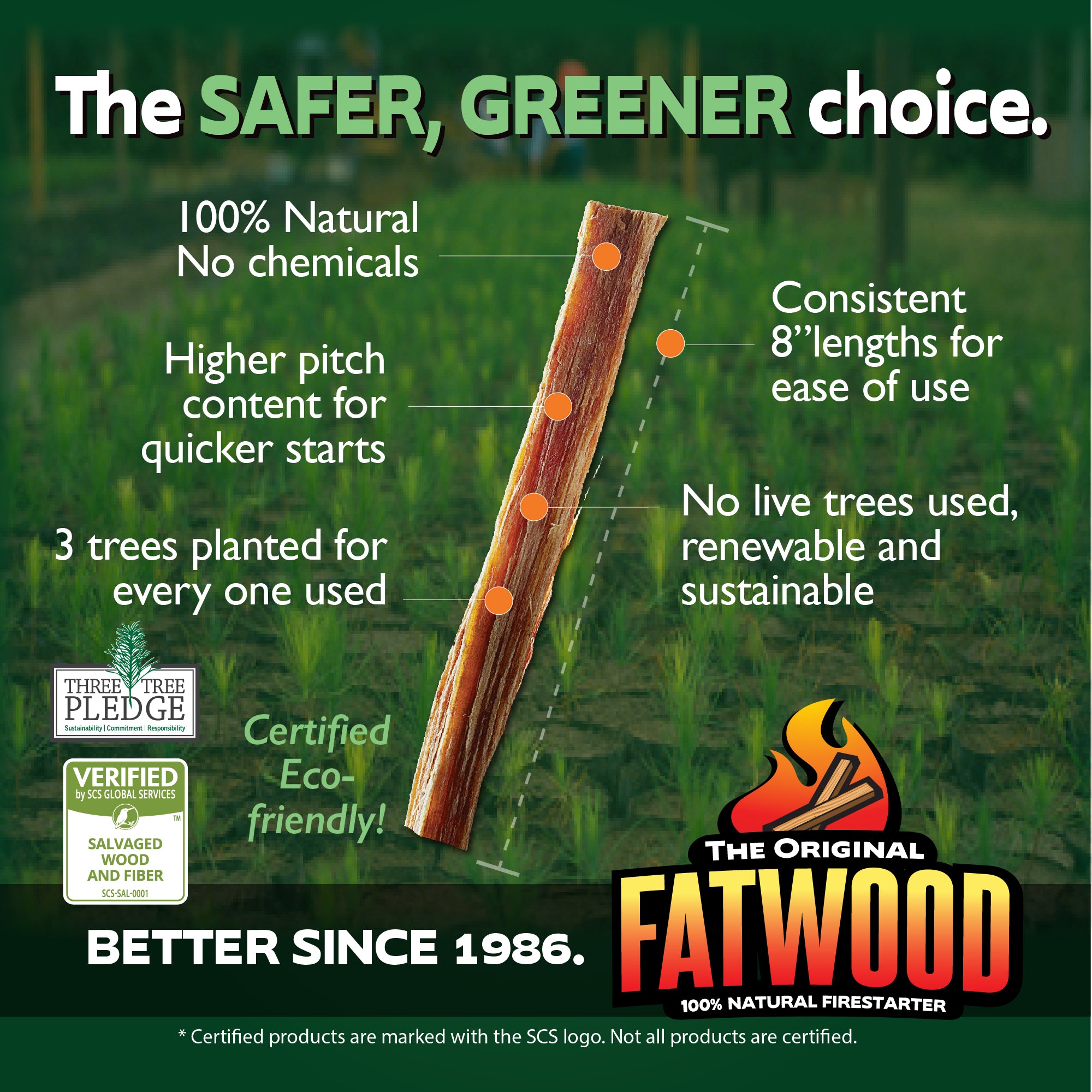 Better Wood Products Protect the Parks Series Fatwood Firestarter Crate, Glacier - Smart-nests