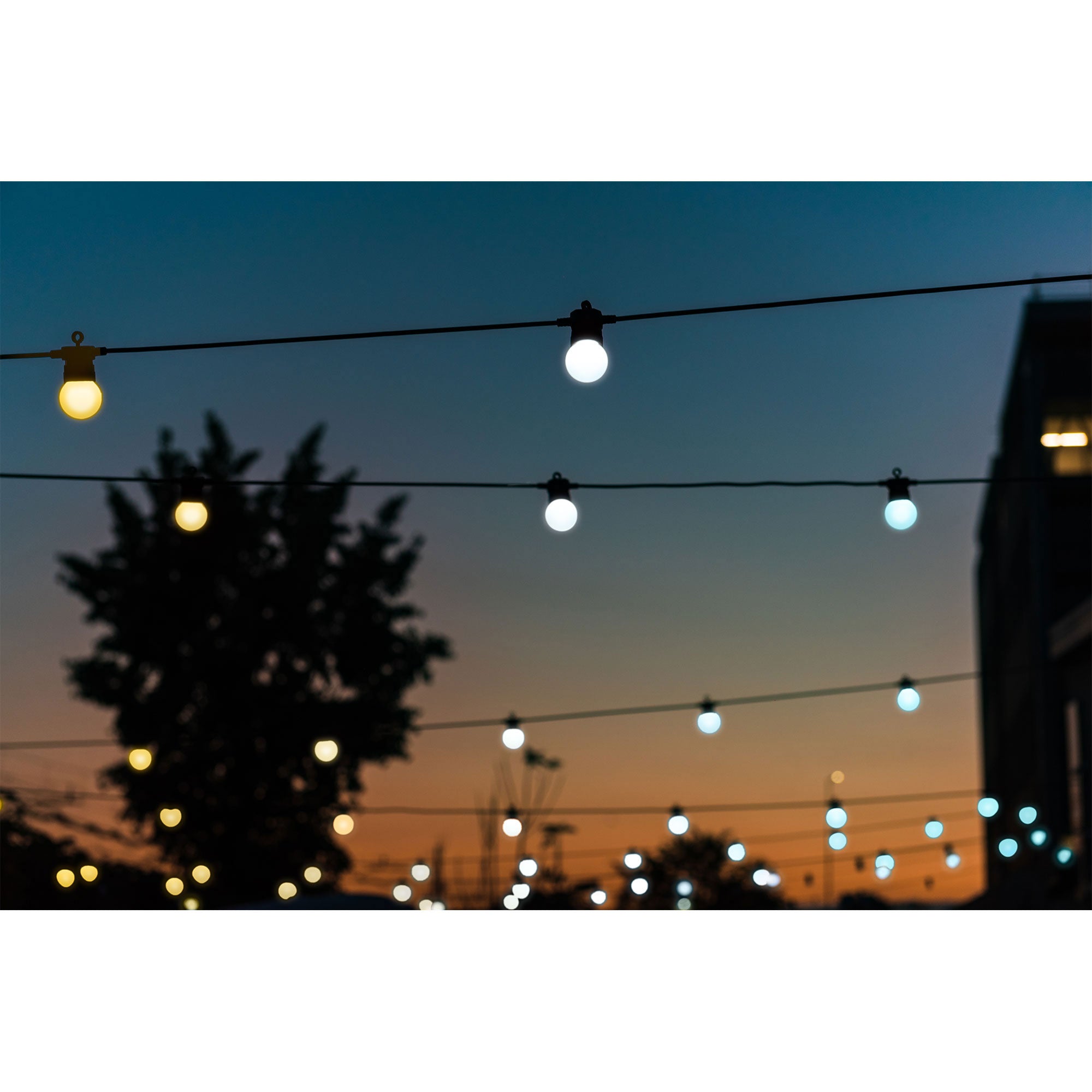 Twinkly Festoon App-Controlled Smart LED Light String 20 AWW (Warm/Cool White) - Smart-nests