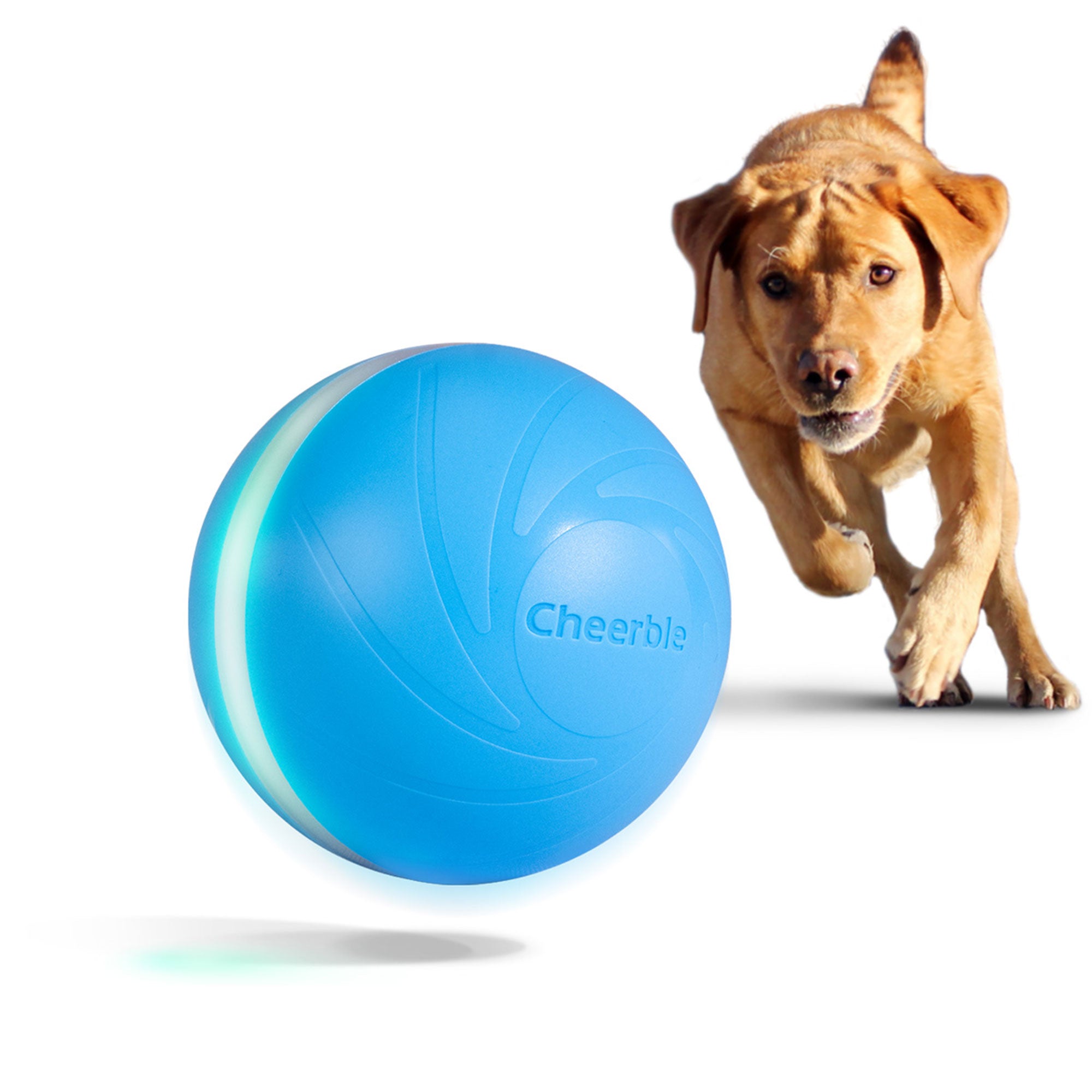 Cheerble Wicked Indoor Outdoor Self Propelling Interactive Dog Toy Ball, Blue - Smart-nests
