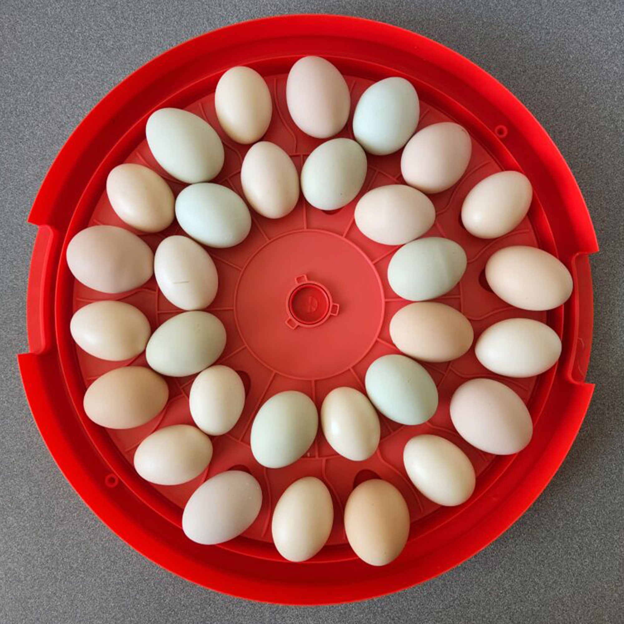 Rugg'EGG' Ranch 30 Egg Auto Turning Incubator w/Temperature & Humidity Display - Smart-nests