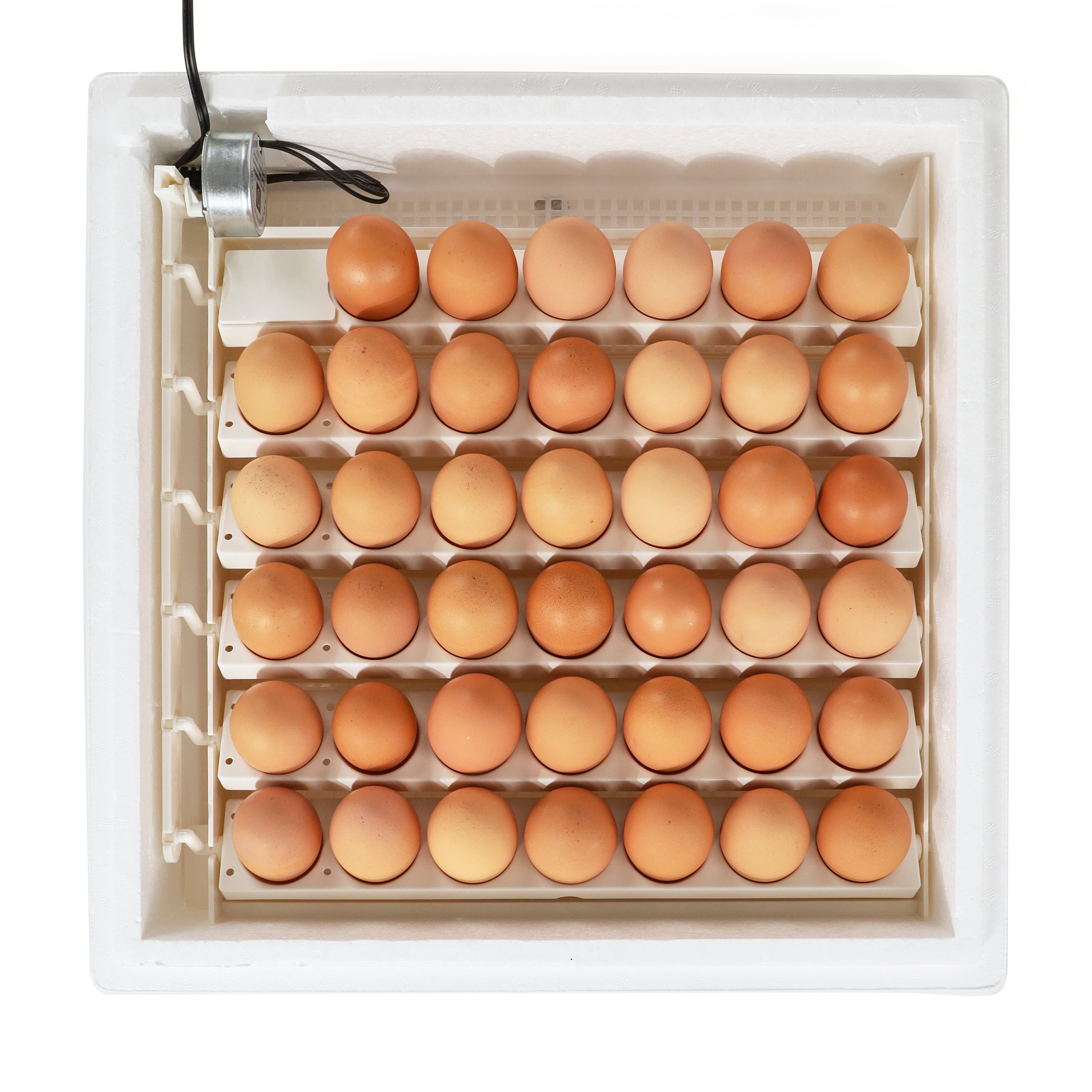 Farm Innovators 3200 Automatic 41 Spot Egg Turner for Improved Hatching, White
