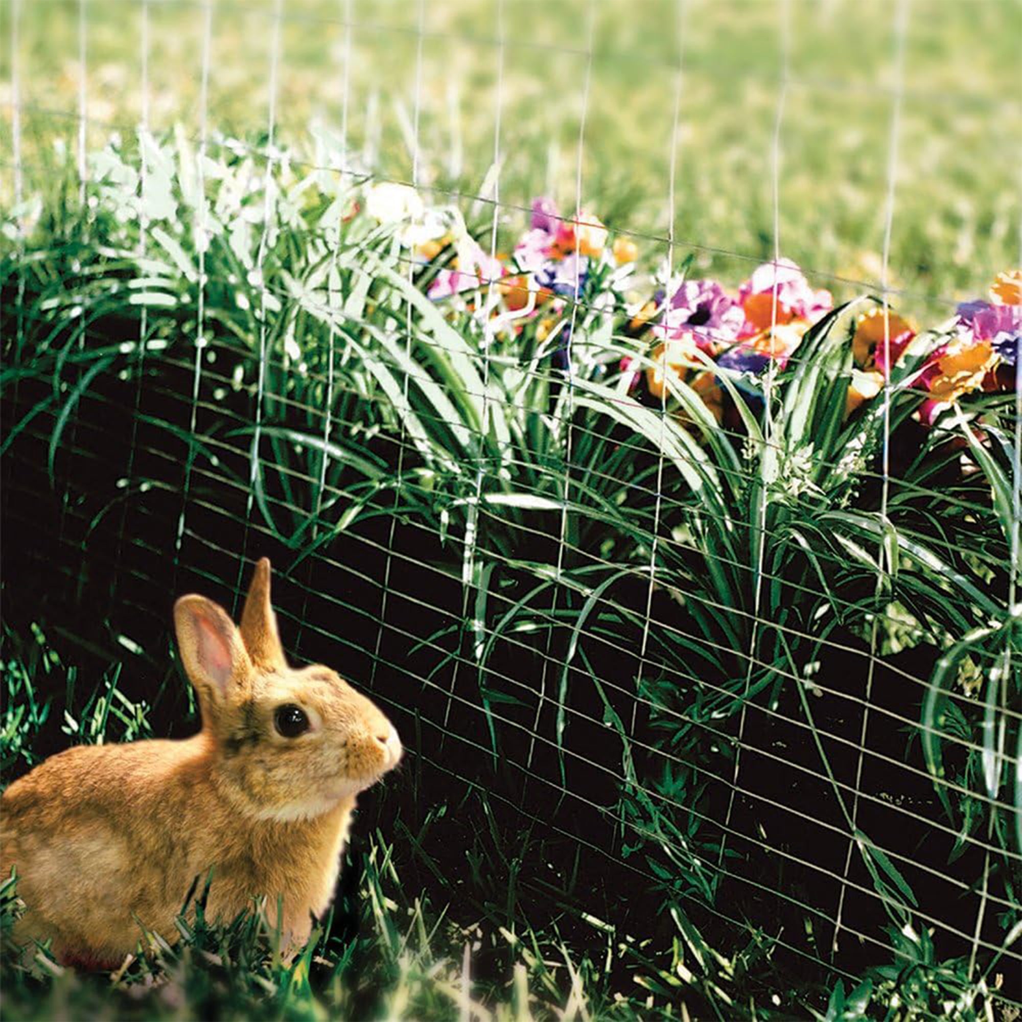 YardGard 14 Gauge Galvanized Welded Wire Fence for Lawn and Plant Care Products - Smart-nests