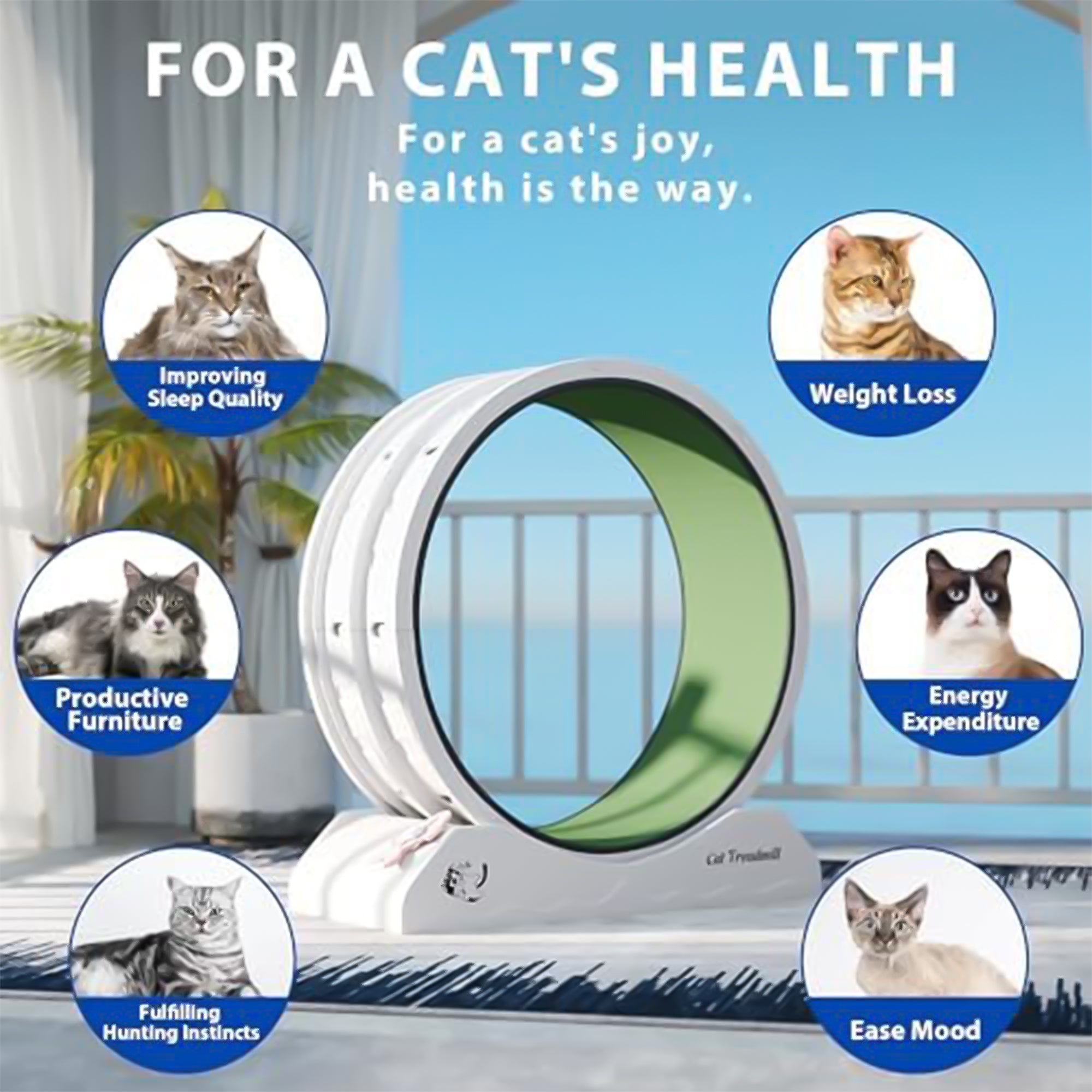 COZIWOW Lockable 31.5” Cat Exercise Wheel Treadmill with Removable Carpet, Grey - Smart-nests