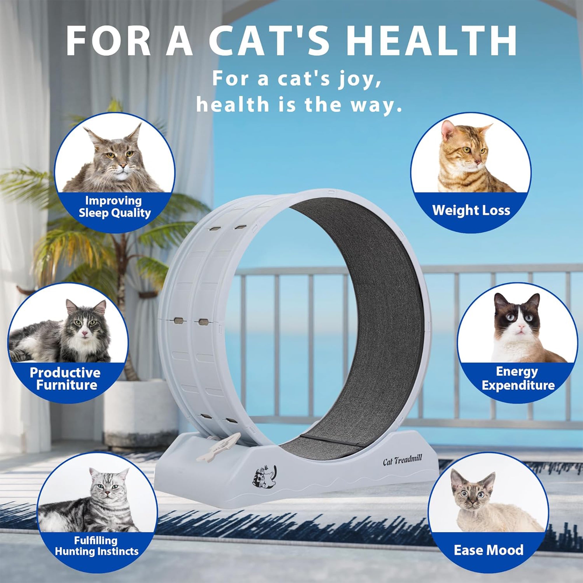 COZIWOW 31.5” Lockable Cat Exercise Wheel with Removable Carpet, Light Grey - Smart-nests