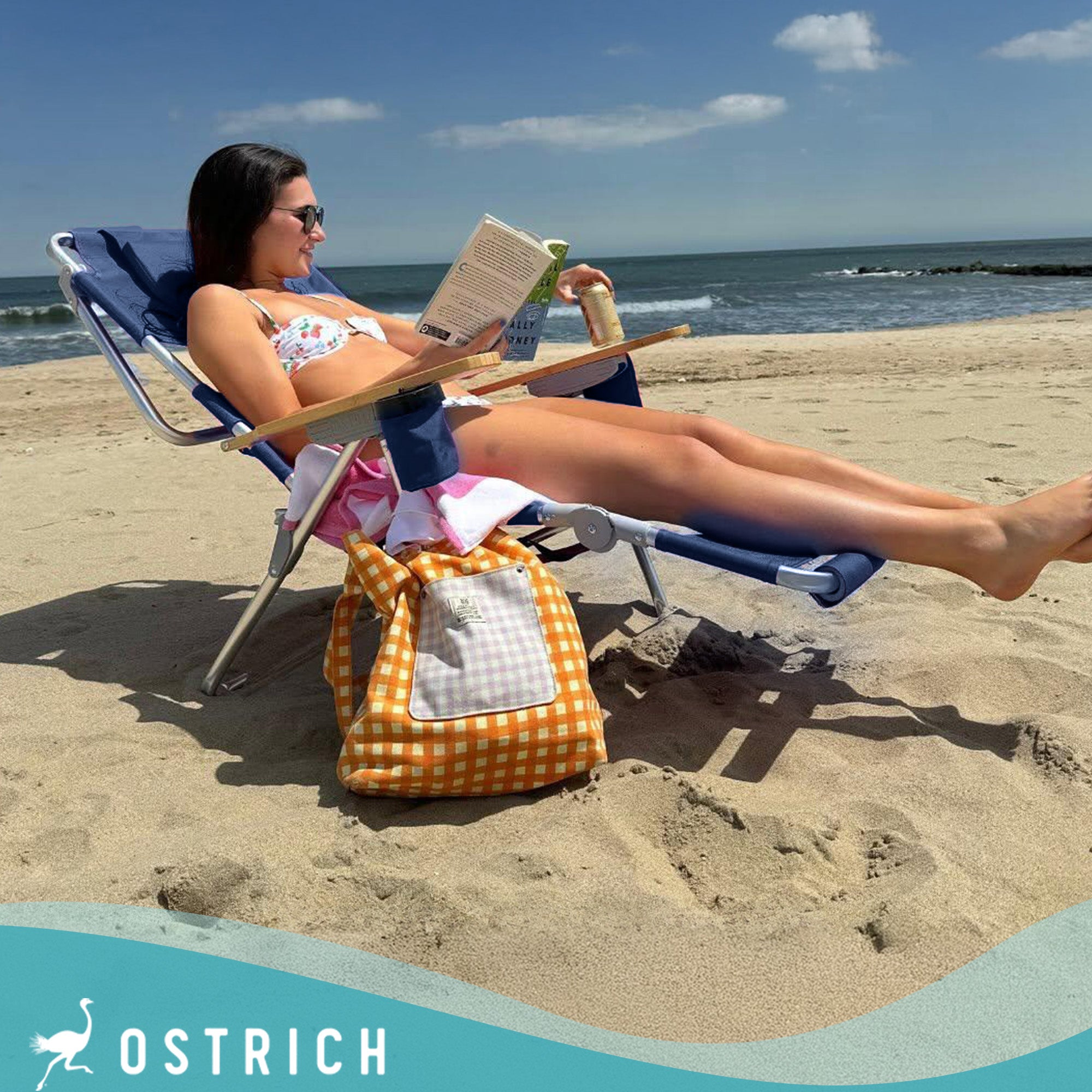 Deltess Ostrich 3 In 1 Portable Chair Cooler Bag & Reclining Lounger, Navy Blue - Smart-nests