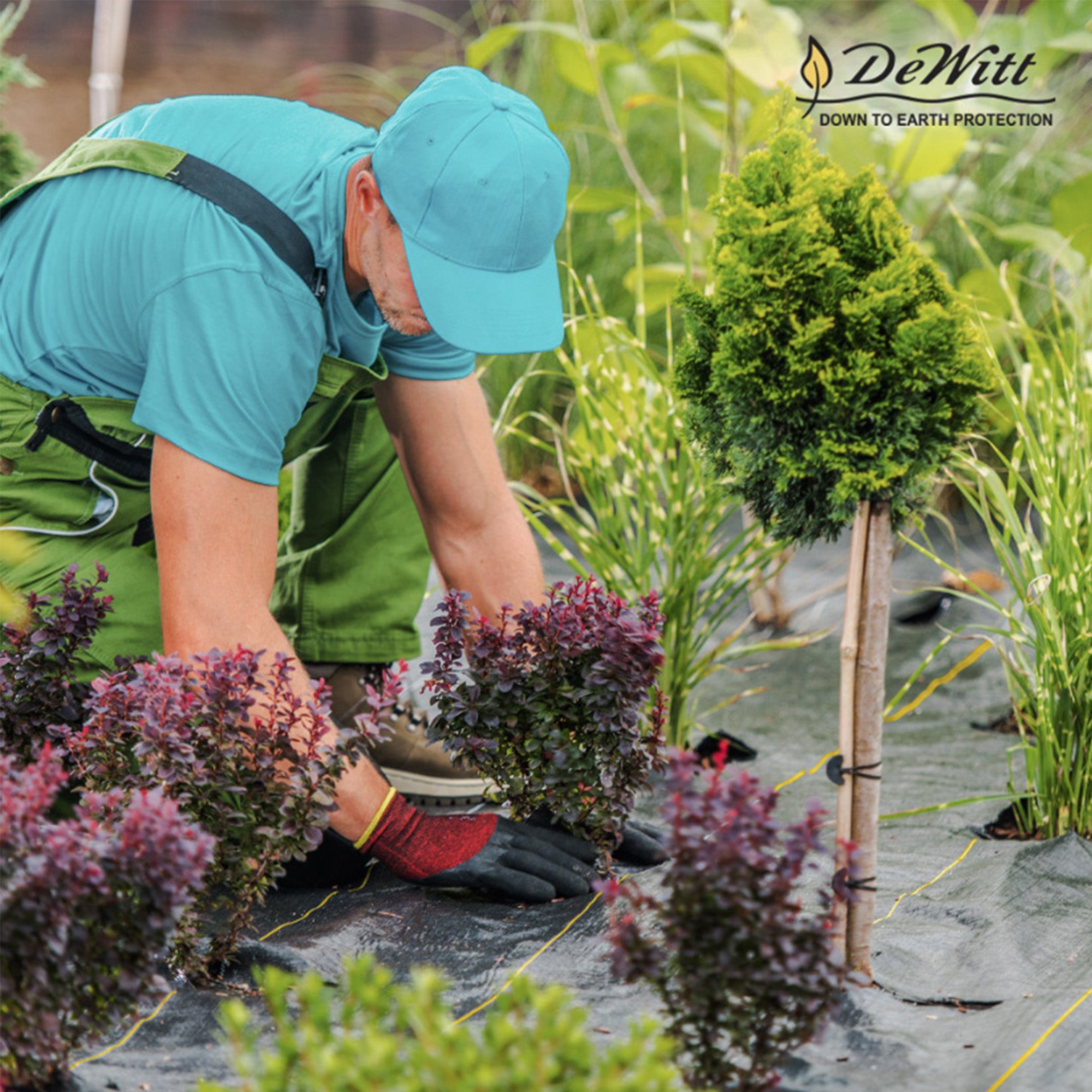 DeWitt Sunbelt 3' Wide Weed Barrier Landscape Fabric Ground Cover, 300' (2 Pack) - Smart-nests